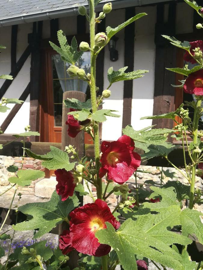 Holiday home Le Clos Des Hortensias *
